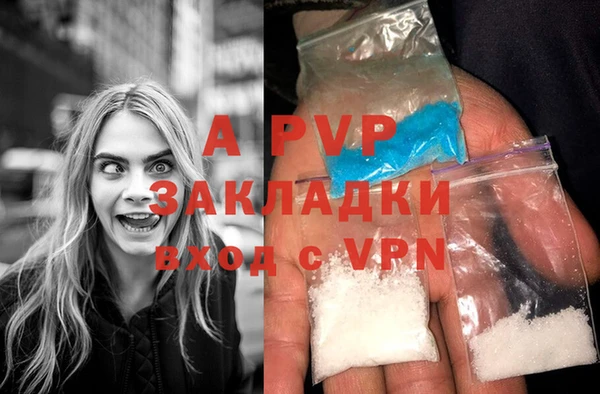 PSILOCYBIN Майский