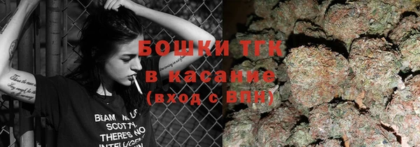 PSILOCYBIN Майский
