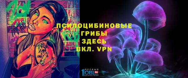 ГАЛЛЮЦИНОГЕННЫЕ ГРИБЫ Магас