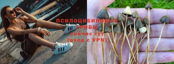 ГАЛЛЮЦИНОГЕННЫЕ ГРИБЫ Магас