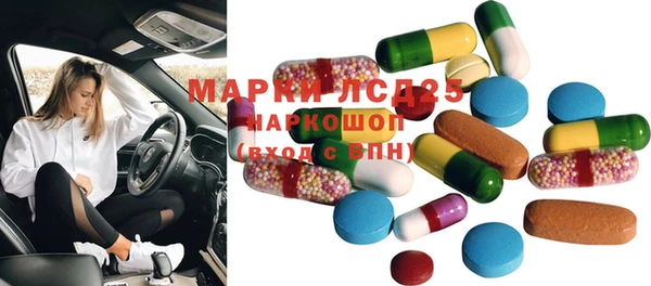 PSILOCYBIN Майский